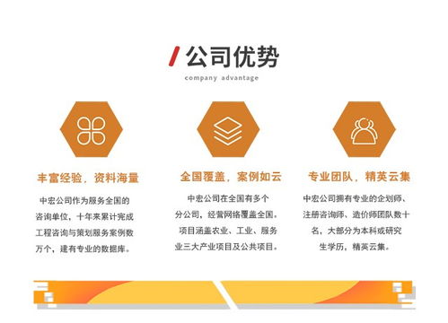 可行性研究报告立项的绿色通道解析与咨询亮点